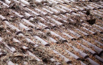 Milton Of Balgonie roof cleaning companies